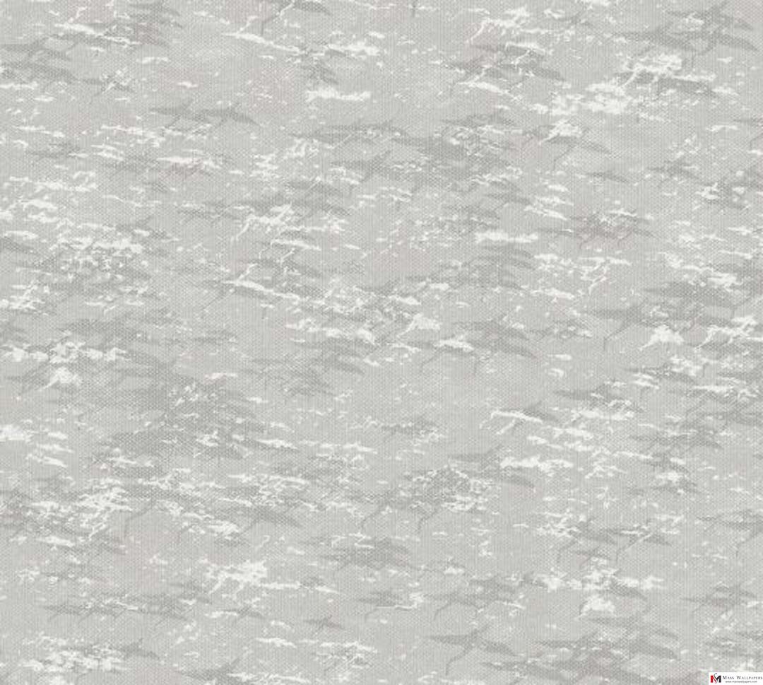 plain-texture-wallpapers-arumbakkam